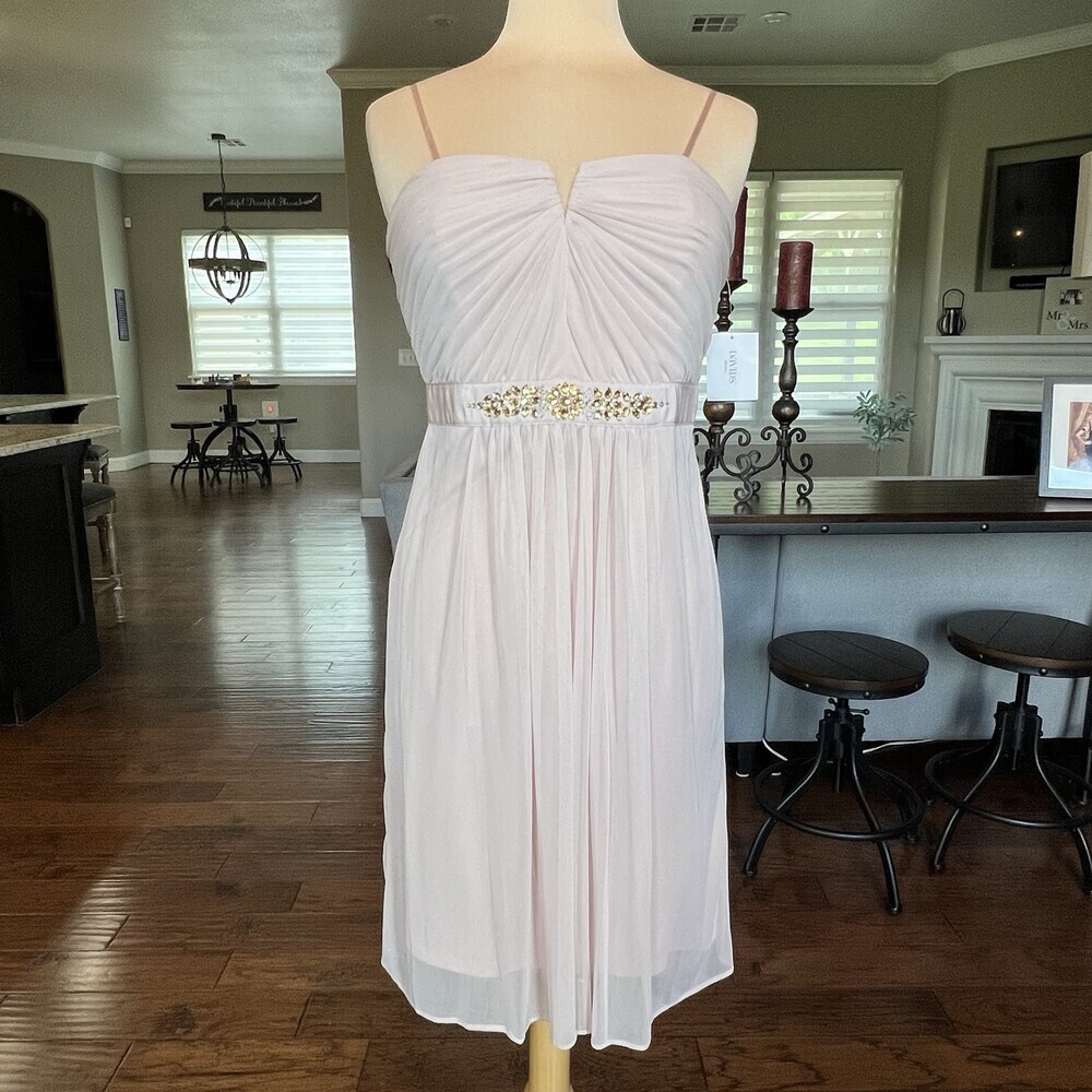 NWT Adrianna Papell Blush Pink Beaded Empire Waist Chiffon Dress Size 10